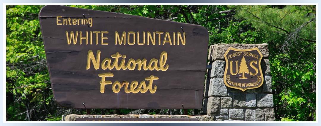 White Mountain National Forest sign